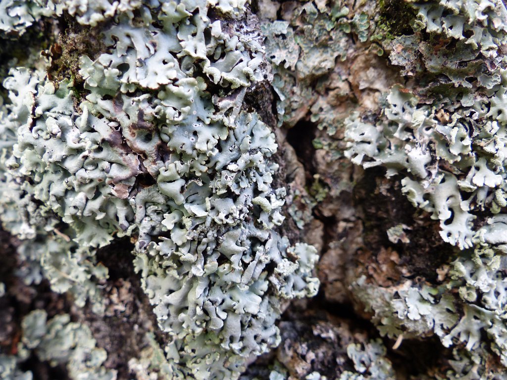 20170429-014