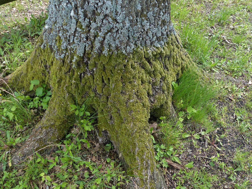 20170429-015