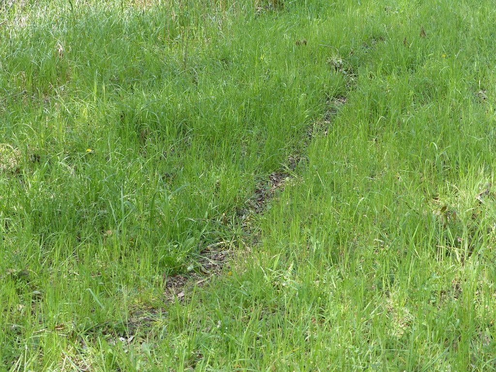 20170429-033