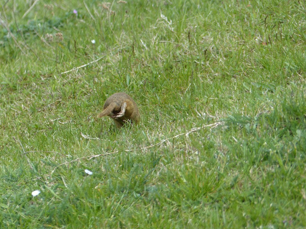 20170429-059