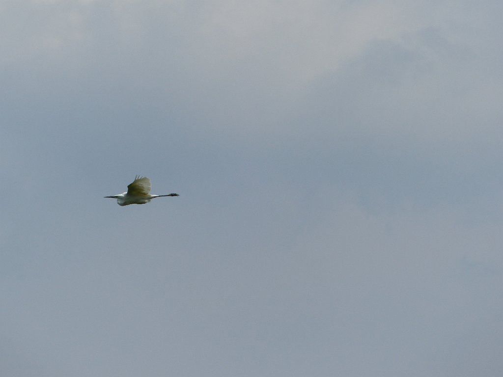 20170429-074