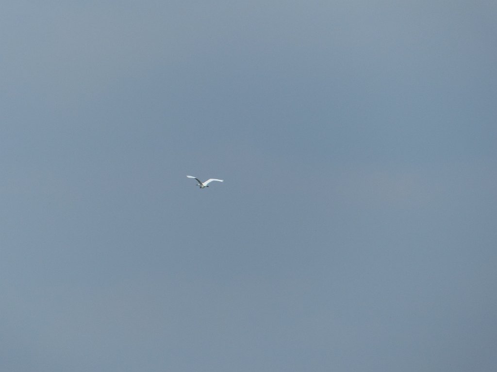 20170429-075
