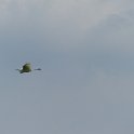 20170429-074