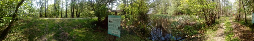2017042930panorama-002