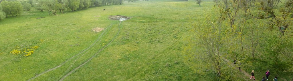 2017042930panorama-007