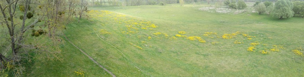 2017042930panorama-008
