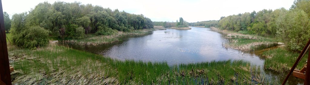 2017042930panorama-009