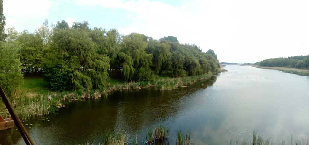 2017042930panorama-010
