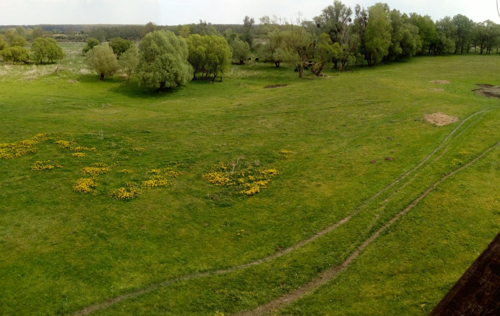 2017042930panorama-017