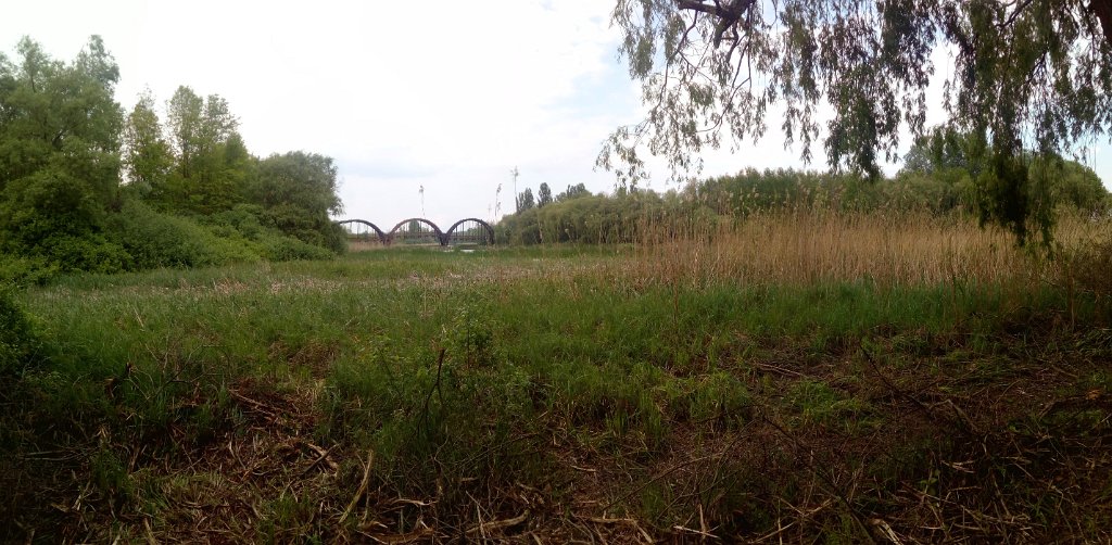2017042930panorama-019