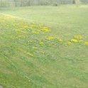 2017042930panorama-008